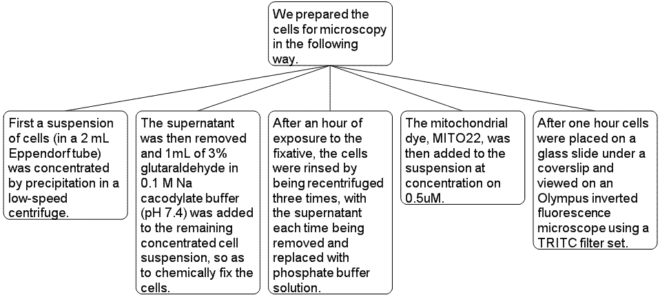 microscopy_Map_PO.gif